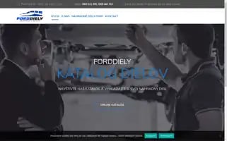 Forddiely.sk Screenshot 2024-05-19 21:13:59