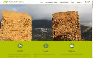 Aceitepuentedonmanuel.com Screenshot 2024-05-19 08:02:50