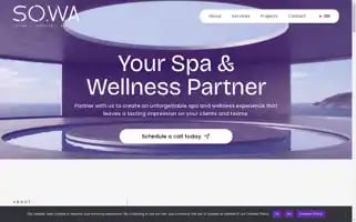 Sowaconsultancy.com Screenshot 2024-05-19 00:06:34