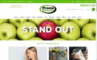 Promo-monster.com Screenshot 2024-05-13 12:48:07