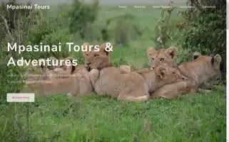 Mpasinaitours.com Screenshot 2024-04-18 10:42:38