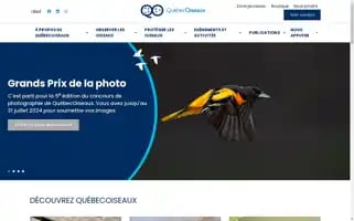 Quebecoiseaux.org Screenshot 2024-07-03 15:47:46