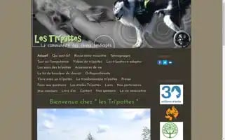 Lestripattes.fr Screenshot 2024-04-26 20:12:07