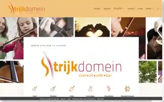 Strijkdomein.nl Screenshot 2024-06-14 23:09:38
