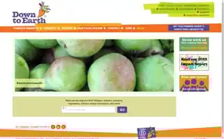 Downtoearthmarkets.com Screenshot 2024-07-05 01:50:17