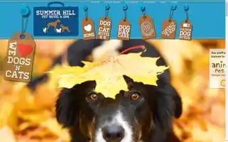 Summerhillpethotel.co.uk Screenshot 2024-04-17 10:28:29