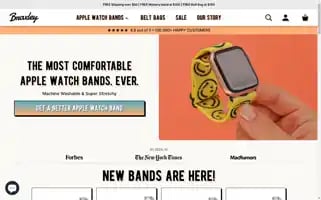 Braxleybands.com Screenshot 2024-05-05 00:51:27