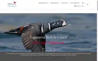 Fuglavernd.is Screenshot 2024-06-12 06:29:39
