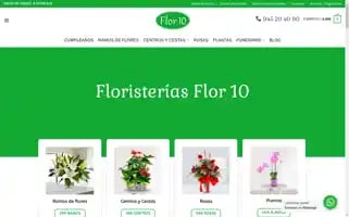 Flor10tienda.com Screenshot 2024-06-14 23:33:48