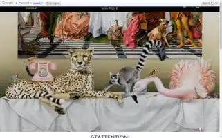 Viproomriccione.com Screenshot 2024-05-17 06:14:11