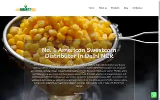 Bharatfoodagency.com Screenshot 2024-05-27 06:19:43