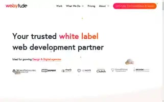 Webytude.com Screenshot 2024-07-01 15:04:14