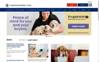 Ckc.ca Screenshot 2024-05-15 06:31:27