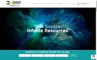 Ziggimarketing.com Screenshot 2024-05-15 10:13:39