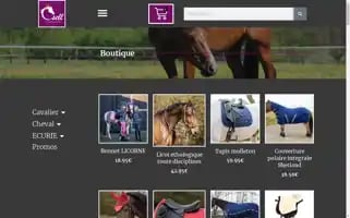 Csell.fr Screenshot 2024-05-21 20:34:00