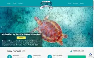 Mauivalue.com Screenshot 2024-05-12 21:21:09