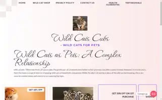 Wildcatpets.com Screenshot 2024-05-26 05:43:38