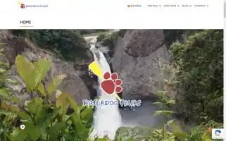 Waterdogtours.com Screenshot 2024-04-26 23:35:48