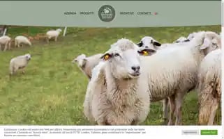 Danielemorzenti.it Screenshot 2024-05-21 06:08:51