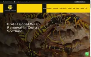 Zestwaspremoval.co.uk Screenshot 2024-07-06 01:31:37