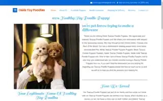 Panachetoypom.com Screenshot 2024-05-28 13:06:26