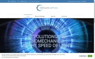 Intelon.com Screenshot 2024-06-17 06:24:45