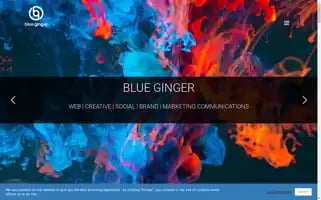 Blueginger.co.uk Screenshot 2024-07-04 13:18:49