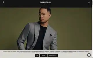 Surmesur.com Screenshot 2024-07-01 05:56:29