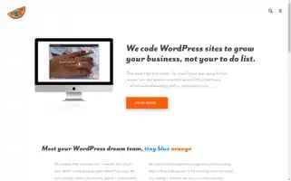 Tinyblueorange.com Screenshot 2024-06-30 07:02:04