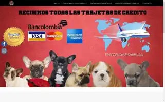 Mbkexoticbulls.com Screenshot 2024-05-28 16:22:46