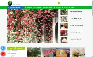 Trumcaygia.com Screenshot 2024-05-22 03:04:32