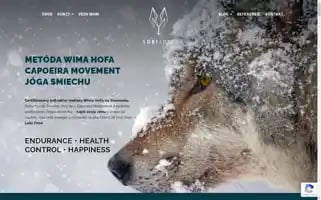 Lobi.zone Screenshot 2024-07-10 07:40:49