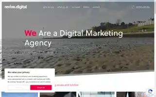 Revive.digital Screenshot 2024-07-01 00:12:22