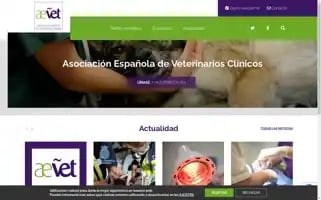 Aevet.org Screenshot 2024-06-16 20:13:54