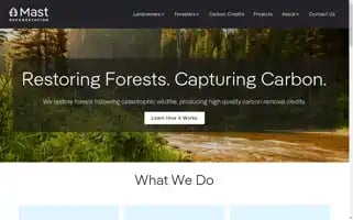 Mastreforest.com Screenshot 2024-06-13 06:02:54