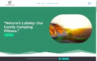 Travelassistonlineus.com Screenshot 2024-05-26 08:33:35