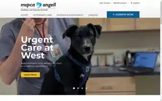 Mspca.org Screenshot 2024-05-13 00:51:29