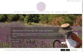 Nellygrosjean.com Screenshot 2024-06-17 20:11:27