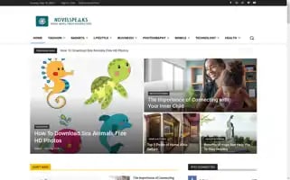 Novelspeaks.com Screenshot 2024-05-19 00:06:31