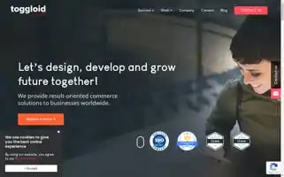 Toggloid.com Screenshot 2024-06-30 15:48:06