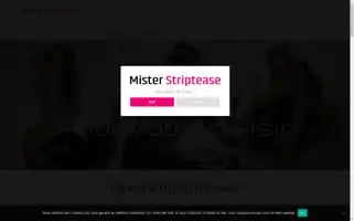 Mister-striptease.com Screenshot 2024-04-17 06:30:45