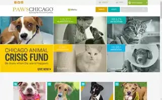 Pawschicago.org Screenshot 2024-05-13 08:19:48