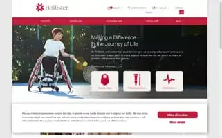 Hollister.ie Screenshot 2024-07-09 23:45:25
