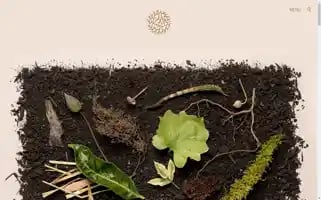 Recompose.life Screenshot 2024-07-01 13:14:43