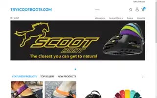 Tryscootboots.com Screenshot 2024-05-14 16:23:48