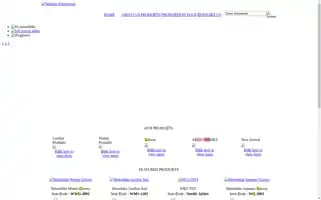 Wesocialenterprise.sg Screenshot 2024-05-15 01:34:24