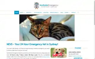 Nevs.net.au Screenshot 2024-06-16 13:55:42