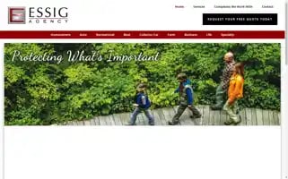 Essigagency.com Screenshot 2024-07-02 01:18:07