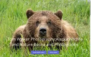 Tomwalkerphotography.com Screenshot 2024-07-03 16:34:02