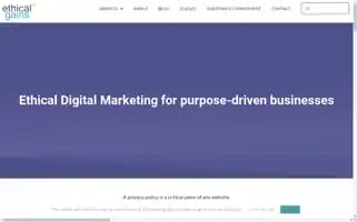 Ethicalgains.org Screenshot 2024-07-03 04:53:39